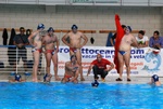 flipper_vs_tritone_49.jpg
