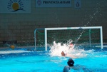 flipper_vs_tritone_52.jpg