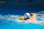 flipper_vs_tritone_53.jpg