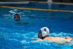 flipper_vs_tritone_54.jpg