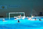 flipper_vs_tritone_55.jpg