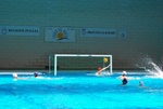 flipper_vs_tritone_57.jpg