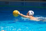 flipper_vs_tritone_58.jpg