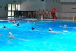 flipper_vs_tritone_59.jpg