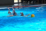 flipper_vs_tritone_60.jpg