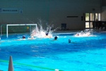 flipper_vs_tritone_61.jpg