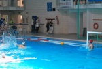 flipper_vs_tritone_62.jpg