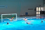 flipper_vs_tritone_63.jpg