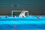 flipper_vs_tritone_65.jpg