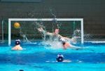 flipper_vs_tritone_66.jpg