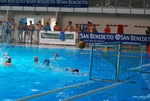 flipper_vs_tritone_67.jpg