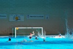 flipper_vs_tritone_68.jpg