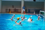 flipper_vs_tritone_70.jpg