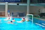 flipper_vs_tritone_71.jpg