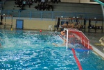 modugno_vs_flipper_12.jpg