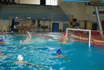 modugno_vs_flipper_19.jpg