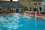 modugno_vs_flipper_20.jpg