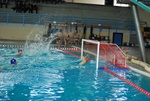 modugno_vs_flipper_22.jpg