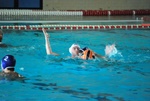 modugno_vs_flipper_24.jpg