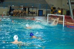 modugno_vs_flipper_28.jpg