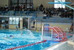 modugno_vs_flipper_30.jpg