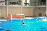 flipper_vs_cosenza_37.jpg