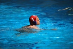 payton_v_flipper_03.jpg