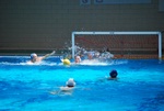 payton_v_flipper_102.jpg