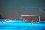 payton_v_flipper_103.jpg