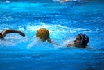 payton_v_flipper_104.jpg