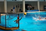 payton_v_flipper_105.jpg