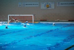 payton_v_flipper_108.jpg