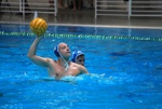 payton_v_flipper_11.jpg