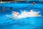 payton_v_flipper_110.jpg