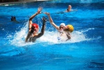 payton_v_flipper_111.jpg