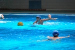 payton_v_flipper_112.jpg
