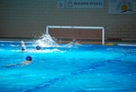 payton_v_flipper_113.jpg