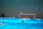 payton_v_flipper_114.jpg