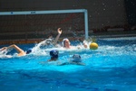 payton_v_flipper_116.jpg