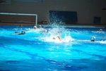 payton_v_flipper_117.jpg
