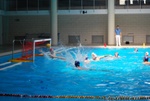 payton_v_flipper_119.jpg