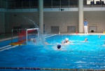 payton_v_flipper_120.jpg