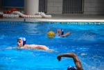 payton_v_flipper_123.jpg