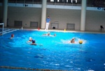 payton_v_flipper_126.jpg