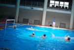 payton_v_flipper_128.jpg