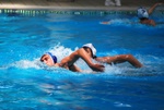 payton_v_flipper_132.jpg