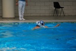 payton_v_flipper_133.jpg