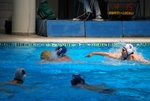 payton_v_flipper_134.jpg