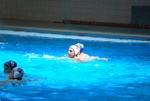 payton_v_flipper_139.jpg