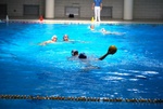 payton_v_flipper_141.jpg